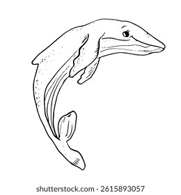 Humpback whale, black and white ink sketch. Vector illustration. An ocean mammal, isolated on a white background. A linear drawing of a marine animal from the ocean.