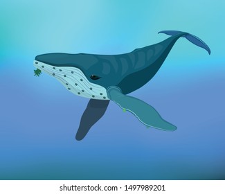 Humpback whale in blue sea ocean background vector illustration