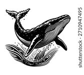 Humpback whale breaching ocean vector