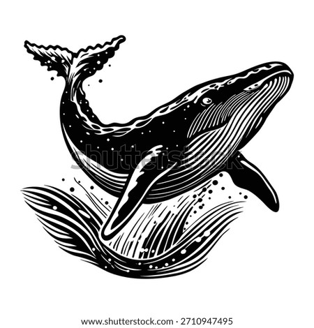 Humpback whale breaching ocean vector