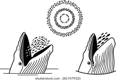 Humpback Whale Bubble Net Feeding Vector Set Illustrating Baleen Whales Lunge Feeding on Fish School with Circular Bubble Ring Diagrams.eps