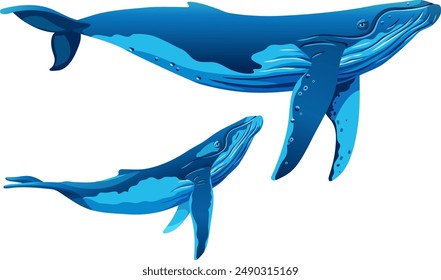 Humpback whale with calf. Minke whales. Vector cartoon character isolated on white background. Game object for computer games, printing, notebooks.