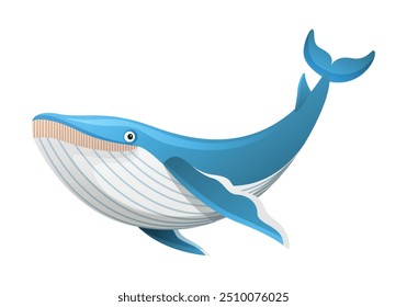 Humpback whale cartoon vector illustration isolated on white background