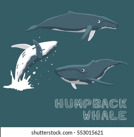 Humpback Whale Cartoon Vector Illustration