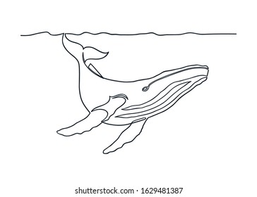 Humpback Whale Drawing In One Continuous Line