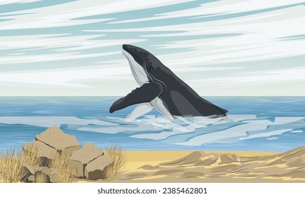 A humpback whale emerges from the water near an empty sandy coast. Realistic vector landscape