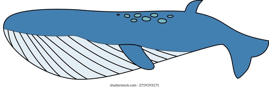 Ilustração do vetor plano da baleia jubarte