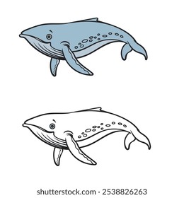 humpback whale. hand drawn. outline. line art. easy to edit. vector illustrations