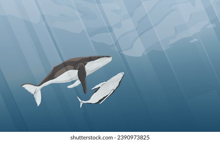 Una ballena jorobada y su ternera nada en agua fría oscura. Animales acuáticos secundarios en su hábitat. Paisaje vectorial realista