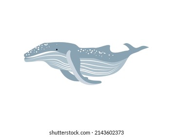 Humpback Whale Icon Flat Vector