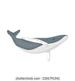 Humpback Whale Icon On White Background