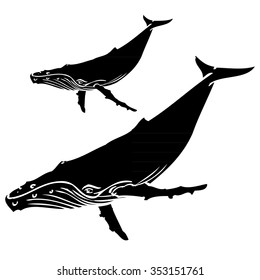 Humpback Whale - Illustration