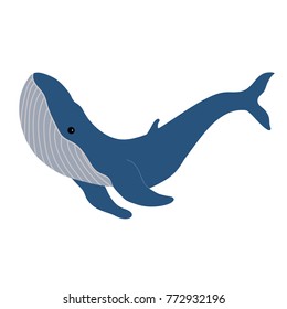 Humpback Whale Illustration