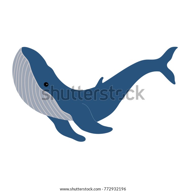 Humpback Whale Illustration Stock Vector Royalty Free