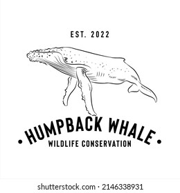 Humpback whale logo, company logo design idea, vector illustration