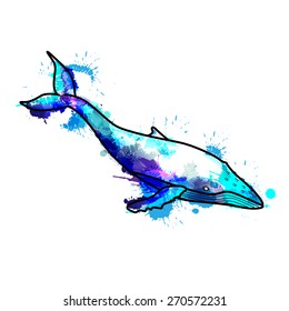 Humpback whale made of colorful  splashes