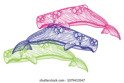 Humpback whale. Meditative coloring. Mandala, dudling drawing. Drawing by hand. Coloring for children. Points, stripes, arrows.
