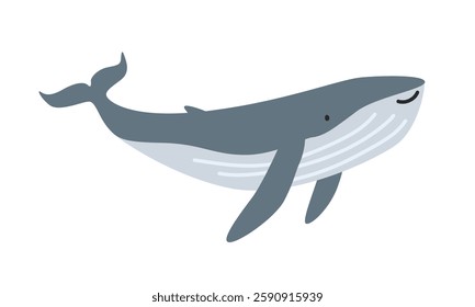 Humpback whale (Megaptera novaeangliae) cartoon clipart. Cute humpback whale vector illustration. Animal in flat style. Sea animals concept isolated on white background