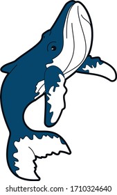 Humpback whale or Megaptera novaeangliae, simplified, few nodes, excellent quality.