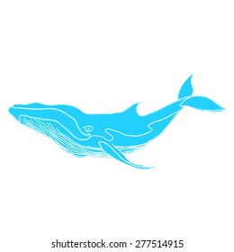 Humpback Whale (Megaptera novaeangliae). Vector Illustration.