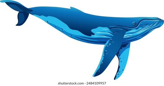 Ballena jorobada. Ballenas Minke. Caricatura de Vector aislado sobre fondo blanco. Objeto de juego para juegos de ordenador, impresión, cuadernos.