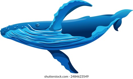 Ballena jorobada. Ballenas Minke. Caricatura de Vector aislado sobre fondo blanco. Objeto de juego para juegos de ordenador, impresión, cuadernos.