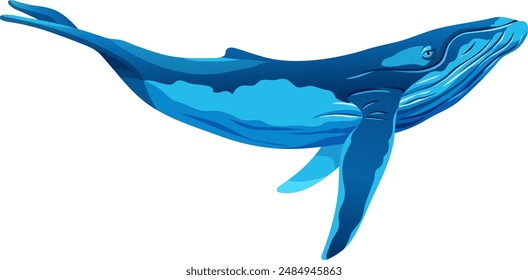 Humpback whale. Minke whales. Vector cartoon character isolated on white background. Game object for computer games, printing, notebooks.