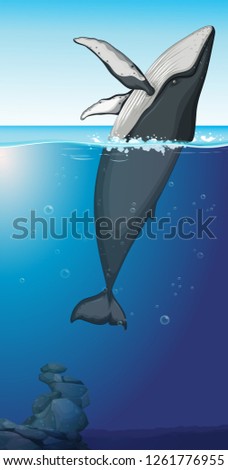 Similar – Image, Stock Photo Humpback whale tail with icy mountains backdrop Alaska