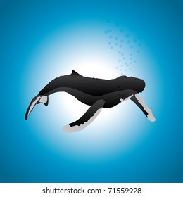 A humpback whale on a blue gradient background, in an editable vector illustration.