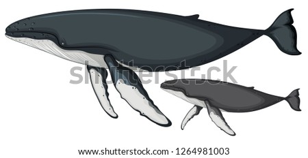 Similar – Image, Stock Photo Humpback whale tail with icy mountains backdrop Alaska