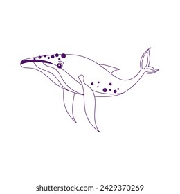 Humpback Whale Sea Mammal Outline Illustration