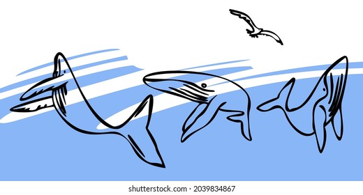 Colección De Ballenas A Mano. Estilo de contorno