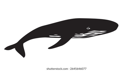 design de silhueta de baleia jubarte. símbolo de peixe grande.