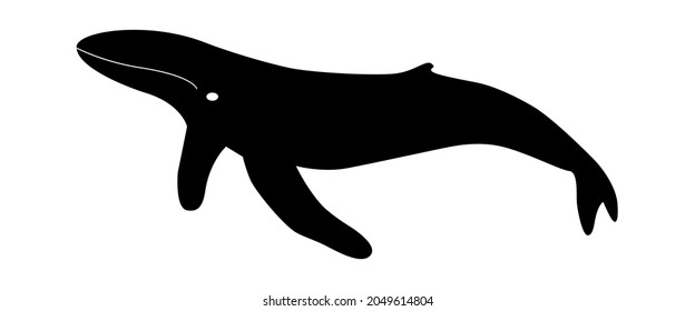 Humpback whale silhouette for ecology banner design. Large underwater mammal logo black white. Protection of fauna and marine animals. Ocean fish icon with tail and fins. Vector isolated illustration