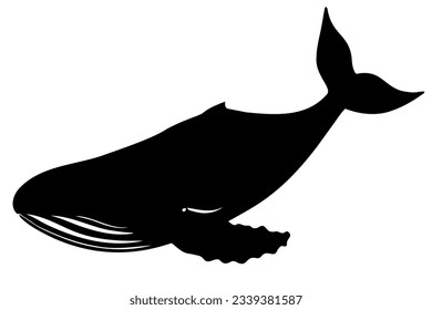 Humpback Whale silhouette isolated. vector illustration