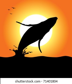 A humpback whale silhouette jumping at sunset. Editable vector illustration.