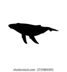 Diseño plano del Vector de la silueta de la ballena jorobada sobre fondo blanco.
