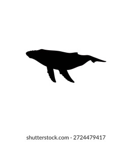 Diseño plano del Vector de la silueta de la ballena jorobada sobre fondo blanco.