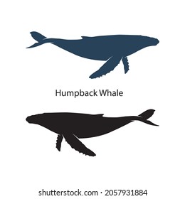 Humpback Whale silhouette vector illustrations isolated on white background. Ocean wildlife mammals collection. Silhouette of different types of whale sea animals. Fish and sea life silhouette graphic