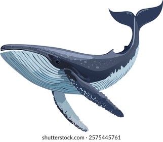 Humpback whale swimming in the ocean