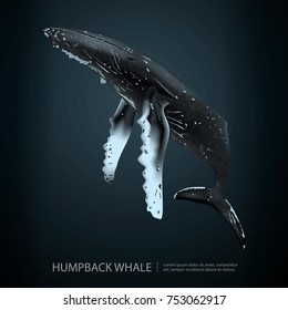 Humpback Whale Under the Sea Vector Illustration