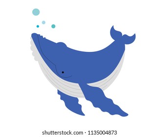 Humpback whale underwater mammal isolated on white background