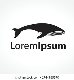 humpback whale, vector logo template