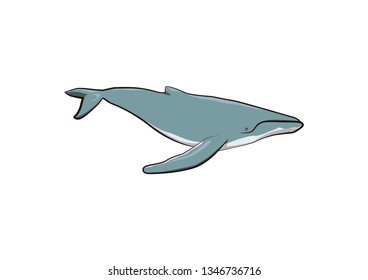 Humpback Whale Vetor Stock Vector (Royalty Free) 1346736716 | Shutterstock