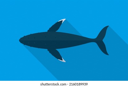 Humpback Whales swimming in the sea, animal flat icon