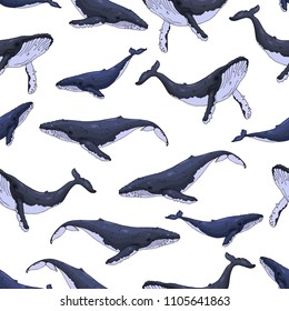 Humpback whales with their calf. Megaptera novaeangliae. Vector illustration, pattern.