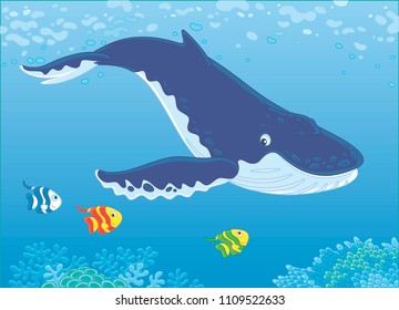 Hump-backed whale swimming in blue water near a reef, vector illustration