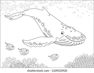 Hump-backed whale swimming near a reef, black and white vector illustration for a coloring book