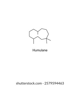 Humulane skeletal structure.Sesquiterpene compound schematic illustration. Simple diagram, chemical structure.