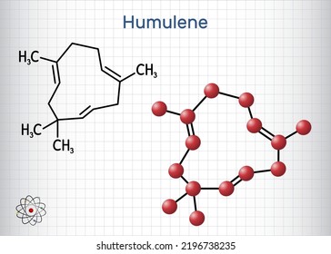 Molécula de humuleno, alfa-humuleno o α-caricofileno. Es un componente del aceite esencial del cono de floración de la planta de lúpulo, Humulus lupulus. Hoja de papel en una jaula. Ilustración del vector